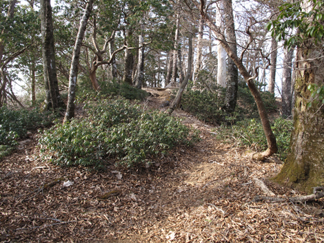 20190108hike (292)